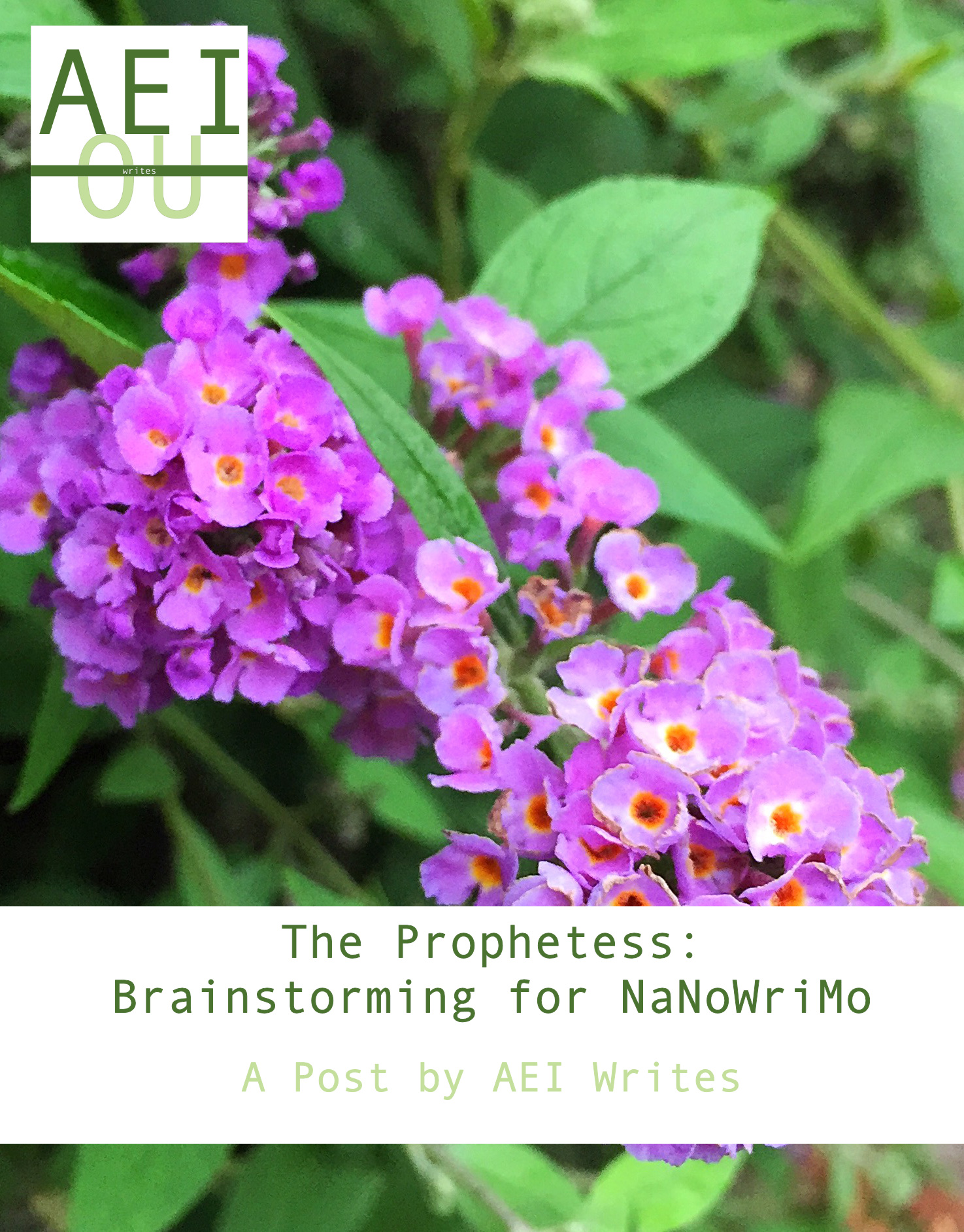 The Prophetess: Brainstorming for NaNoWriMo